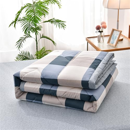 Odot Edredon Lavable Sin Funda 2,5 TOG, Reversible Edredón Verano Cama - Ligera Respirable Suave Acolchado de Manta para Días Calurosos (Cuadrado Grande,150 * 200cm)