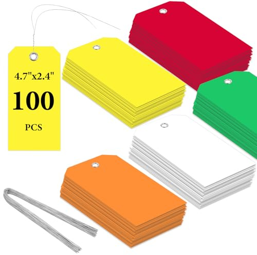 Flintronic 100 stycken vattentäta fraktetiketter av plast, skrivbara hängetiketter, återanvändbara fraktetiketter, för märkning och identifiering, för nycklar, bagage (5 färger)