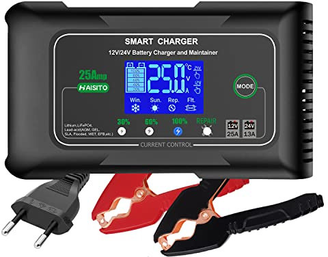 Haisito Carica Batterie per Auto 12V/24V 25A, Caricabatterie Auto Intelligente Caricabatteria e Mantenitore Moto Portatile per Batterie al Litio, LiFePO4, Piombo-acido(AGM, GEL, EFB, SLA, VRLA)