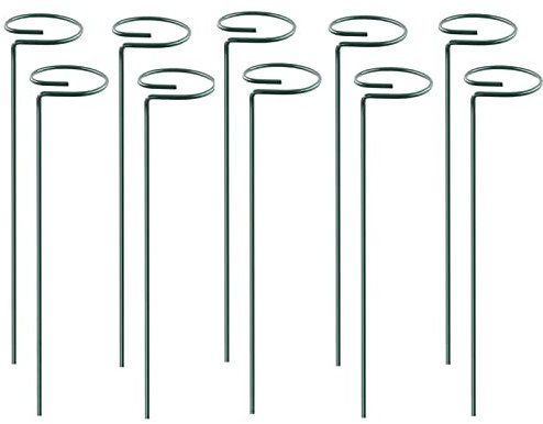 KHBNHJ Lot de 10 tuteurs de 35 cm pour plantes de jardin, tige unique, anneau de support en métal pour orchidée, glaïeul, iris et dahlia, amaryllis, rose et lys