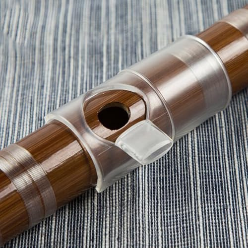 Flute Blowing Aid, 1 Pack Dizi Mouthpiece Whistle, Easy Blowing Device for C/D/E/F/G Key, Lightweight Plastic Practice Tool for Beginner Novice Student(D:Transparent S-G Key)