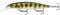 Rapala Unisex-Adult Shadow Rap Deep Locken, Live Perch, 11cm