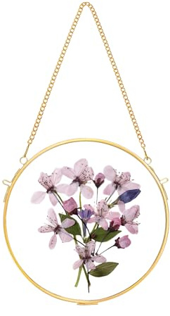 REDHUGO Glass Frame for Pressed Flowers Handmade, Circle, Gold | Wall Hanging Brass Floating Frame, Double Glass Round Picture, Glass Frame for Dried Flowers Poster Home Wall Decor