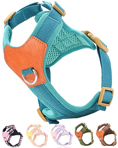 Blue xs Dog Harness for Small Dogs, No Pull Dog Harness with 2 Leash Clips,Puppy Harness, Dog Vest Harness (Blue, XS)