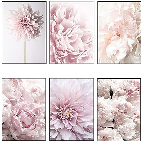 OYFFL 6 Arte Moderno Acuarela Flores Pintura al óleo sobre Lienzo Carteles e Impresiones peonía Rosa Cuadro de Arte de Pared para decoración de Sala de Estar (30 * 40cm)