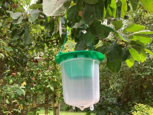 Dragonfli Plum Fruit Moth Pheromone Trap