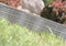 Rasenkante Gartenpalisade Beeteinfassung Beetumrandung 3,9m Weidenzaun-Optik von rg-vertrieb (Grau)