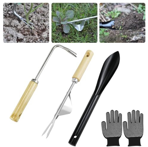 3 Stück Unkraut Werkzeug, Unkrautstecher Edelstahl Garten Manueller Weeder Wurzeljäter Gartengerät,Unkrautjäter mit Holzgriff,Wurzeljäter Unkrautgabel für Garten zum Graben, Umpflanzen, Jäten