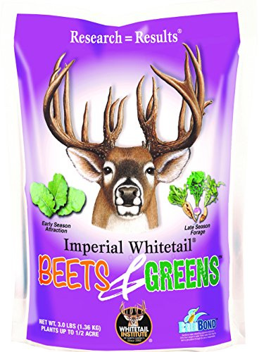 Whitetail Institute Beets & Greens Deer Food Plot Seed for Fall Planting - Blend of Sugar Beets, Kale, Turnip and Radish to Attract and Hold Deer Throughout Fall and Winter, 3 lbs (.5 Acres)