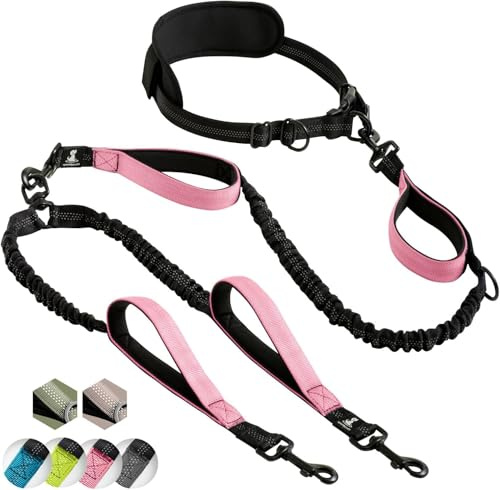 Laisse mains libre pour 2 chiens grande et moyenne taille – laisse anti-traction avec coutures réfléchissantes pour chien - accessoire chien pour le jogging, la marche à pied, la randonnée, l’escalade