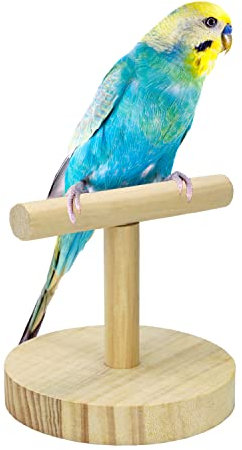 Litewoo Parrot Perch Bird Stand Natural Wood Quartz Sand Birdcage Play Gym T Perch Fits for Budgies Parakeet Cockatiel Conure Lovebirds B
