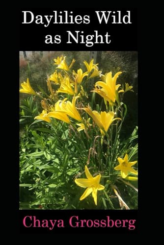 Daylilies Wild as Night