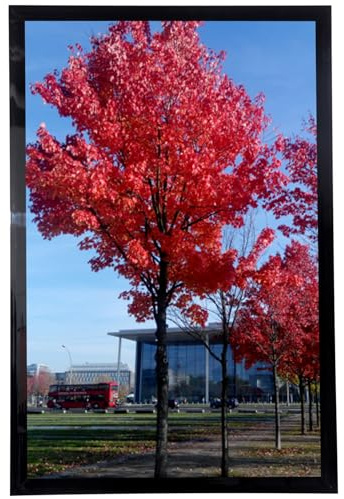 Medog 11x17 Picture Frame in Black, Display pictures 11x17 Poster Frame, Wall Sign Poster Menu Photo Frames, 1 Pack