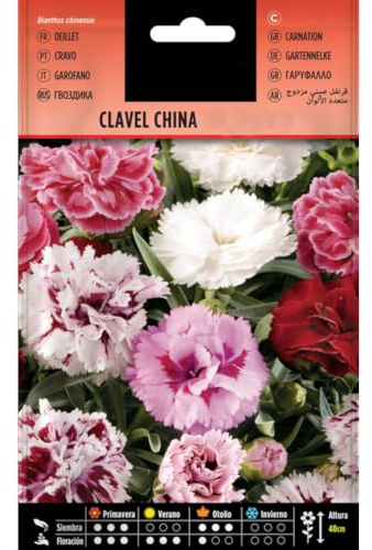 Clavel Chino | Sobre de Semillas |Semillas Flores Jardín