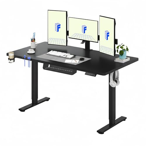 FLEXISPOT 160 * 60cm Electric Standing Desk Adjustable Standing Desk Sit Stand Up Desk Computer Desk with Hook Memory Function for Office and Home (Black+Black)
