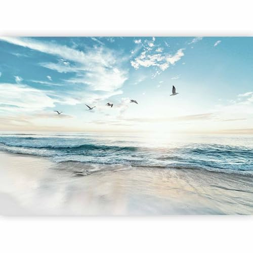 murando - Carta da parati Mare Spiaggia 400x280 cm - Fotomurali in TNT - Murale Decorazione da Muro - XXL Poster Gigante Design Cameretta - Carta per pareti - Uccelli Paesaggio Natura b-B-10023-a-a