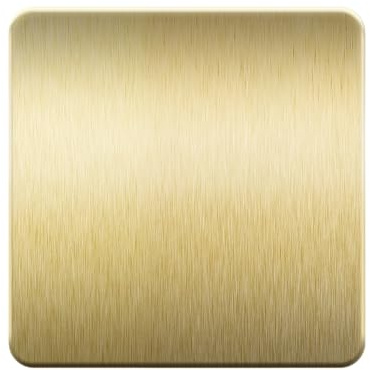 LIDER Screwless 1-Gang Blank Metal Faceplate, Round Edges, Brushed Brass