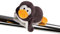 NICI Magnettier Pinguin Frizzy 12 cm – Magnet-Plüschtier Pinguin – Kuscheltier Magnet Pinguin Frizzy – Stofftier Pinguin Magnet – Magnettiere Plüsch NICI für Kühlschrank, Tafel, Metall – 44104