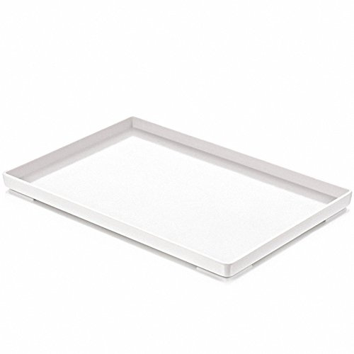 Bol à Nourriture pour Reptile OMEM Grand Plat d'Eau, Plat de Nourrissement, Bol pour Tortue (M, Blanc Lisse)