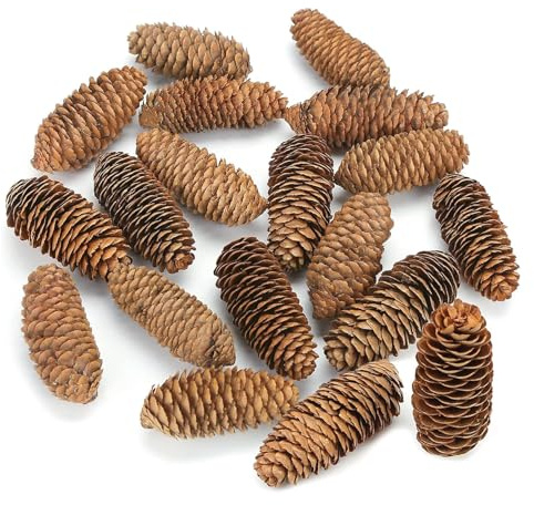 JOHOUSE 18 PCS Large Spruce Pine Cones, Natural Pinecones Bowl Fillers