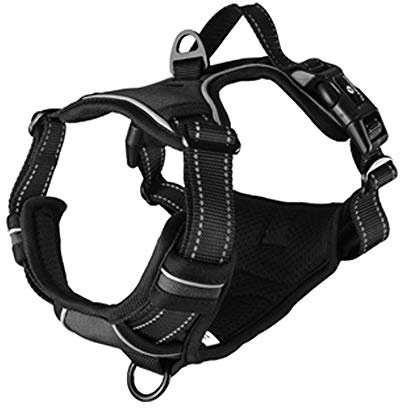 Flamingo Hundegeschirr - hundegeschirr mittelgroße Hunde - 32-56cm A. Brust / 50-65cm B. Bauch Harness Balou Schwarz M