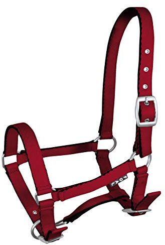 York Fohlenhalfter Mini Halfter Pferdehalfter Tobi versch. Farben (korallrot)