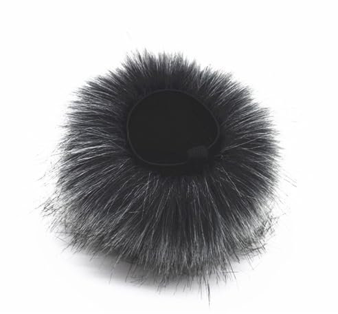 MHADBKH Case Manga Micrófono Micrófono Profesional para Reducción Ruido Grabación Portátil Esencial H6 Reducción Ruido Aire Libre