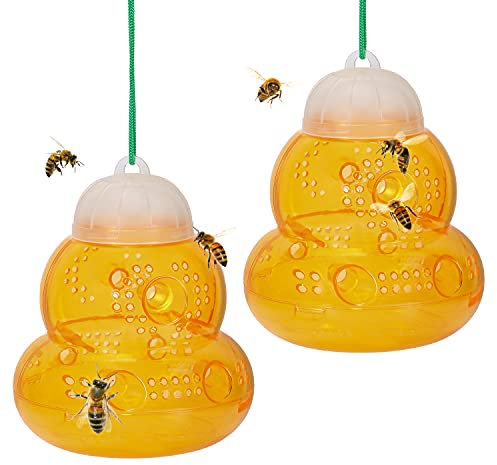 Bililike Wespenfalle 2stk, Lebendfalle zum Aufhängen & Hinstellen 360 Grad Wirkung Mückenfalle, Φ13*14cm Insektenfalle aus Kunststoff, Fliegenfalle für Natürlichen Lockstoff