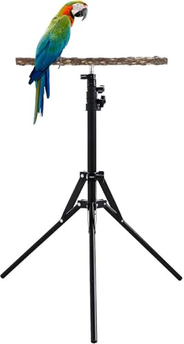 Porme d'oiseaux réglables-15,74-61,81 pouces PARROT RÉGLABLE PARROT POUR BRIG BIDDS, support de perche à oiseaux, cendrier multi-usage pour usage extérieur intérieur