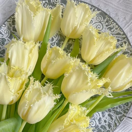 Bulbi di tulipano, rare prodotti sostenibili di bulbi a precoce da giardino roccioso resistenti per il giardino 3pcs