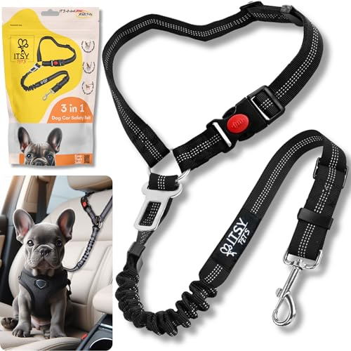 ITSY Pets - Dog Seat Belts for Cars Compliant with the UK Pet Travel Laws, with Elastic Bungee & Lockable Buckle, Adjustable Straps & Reflective Seat Belt Leash, Heavy-Duty Car Safety Dog Harness