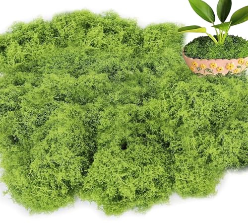 Saituo Home Musgo Artificial 100g Musgo Natural Planta Artificial Verde Musgo Falso SimulacióN de Musgo Musgo para Manualidades Musgo Artificial para Macetas Jardines Eternos,Verde Claro