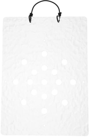 BESPORTBLE Vielseitige Acryl-hirschhornfarn-Brett Für Moderne Wohnkultur Und Balkon