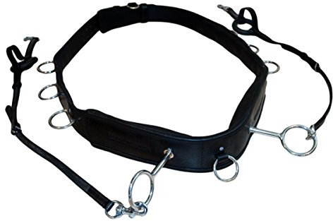 Karlslund Longiergurt Lunging Girth, Schwarz, k400