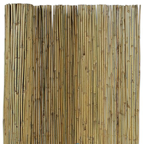 Arella Canna Passante in Bamboo Marrone Filo passante recinzioni ombra esterno 100x300 cm EV