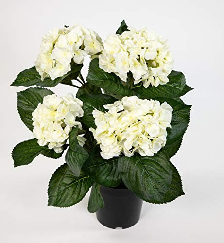 Hortensienbusch Deluxe 42cm weiß-Creme im Topf LM Kunstpflanzen künstliche Hortensie Pflanzen Blumen