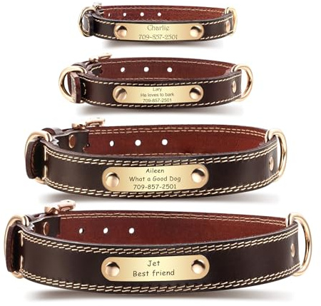 MeMeDIY Collari per Cani in Pelle Personalizzati Targhetta con Nome Incisibile Collare con Nome in Pelle Marrone per Cani di Taglia Piccola Media e Grande (M)