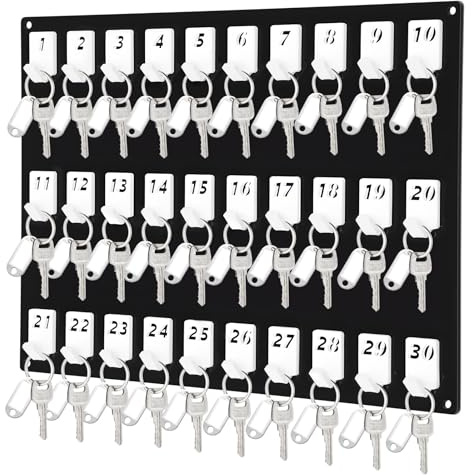 Beeveer Acrylic Key Board with 30 No. Hooks Wall Mount Key Rack Holder Hanger Storage Collection for School, Garage, Car Dealer, Office, Hotel, Real Estate(Black)