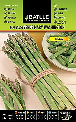 Semences horticoles de Batlle - Asperge Verte Mary Washington (4g), Vert