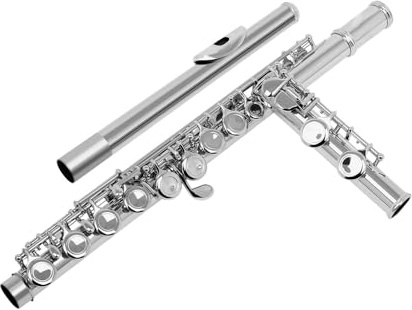 tvärflöjt instrument 16 stängda öppna hål C Tangent Tvärflöjt Musikinstrument