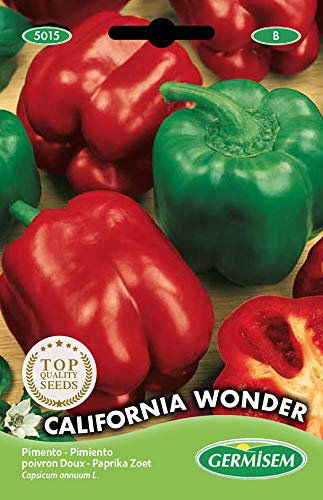 Germisem graines Poivron doux CALIFORNIA WONDER