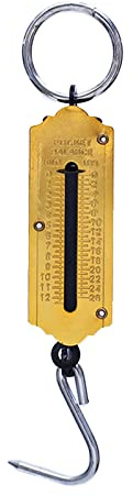 Bilancia portatile con display luminoso bilancia da pesca con gancio bilancia meccanica vecchia bilancia da appendere per la casa 12/50kg bilancia da pesca