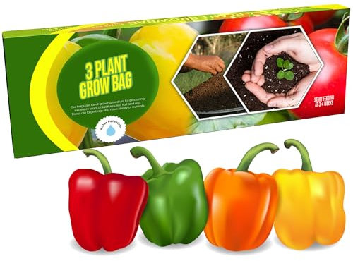 STAR SUPPLIES Fruit & Veg 3 Plant Grow Bags With Balanced Nutrients For Gardening & Greenhouses (24 Litres (1 Bag))