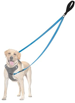 PetBonus Laisse Anti-Traction pour Chien, Double Laisse Anti-Traction réfléchissant, pour l'entraînement et la Marche, pour Chiens de Grande Taille et Moyenne (Bleu Clair)