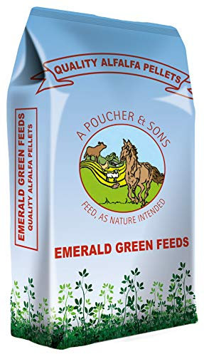 Emerald Green Alfalfa Nuts 20kg