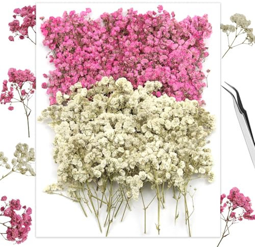 GZGXKJ Gypsophila 120pcs Flores Secas Gypsophila Blanco Rosa Mini Pequeñas Flores Secas Decorativas con Pinzas, Resina, Velas, Aromaterapia, Tarjetas de Felicitación