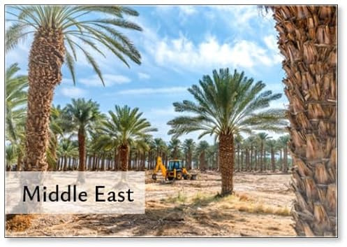Maintenance of Dates Palm Plantations for Healthy Food Production. This Is Rapidly Developing Agriculture Industry in Desert Areas of The Middle East, Fridge Magnet