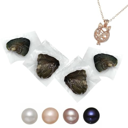 kiss me Collar de perlas de ostra natural con collar de bricolaje, ostras de agua dulce con perla en el interior, collar con medallón de perlas de amor y deseo, regalo de 45,7 cm para mamá y amante, I