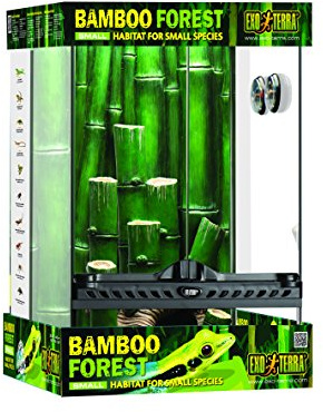 Exo Terra Kit Terrario Bamboo Pequeño, 30 x 30 x 45 cm