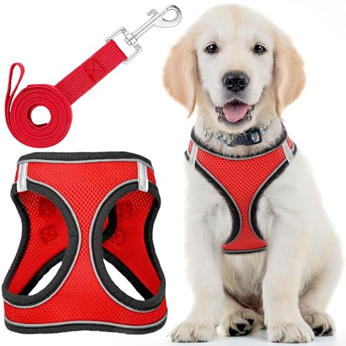 EcoEarth, imbracatura per cani + guinzaglio - taglia media, rosso rover - imbracatura per animali imbottita, design anti-trazione + strisce riflettenti per cani di taglia piccola e media